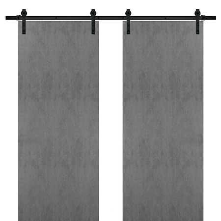 Sartodoors Double French Interior Door, Gray PLANUM0010DB-BTN-72